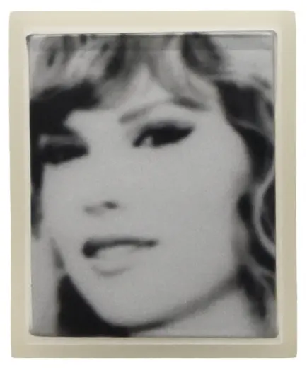 Untitled (Silver Swiftie)
