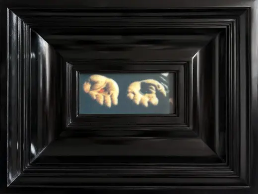 L’illusion du choix (The Illusion of Choice)