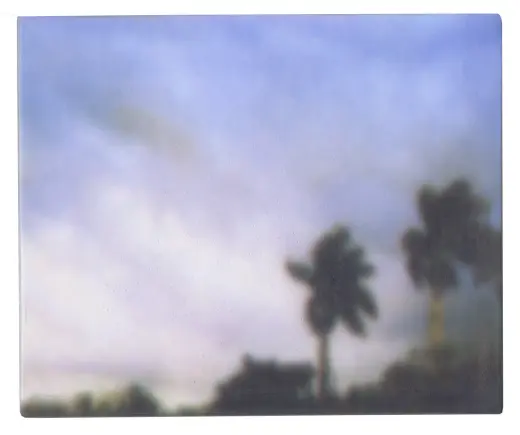 Untitled (Palm Trees 02)