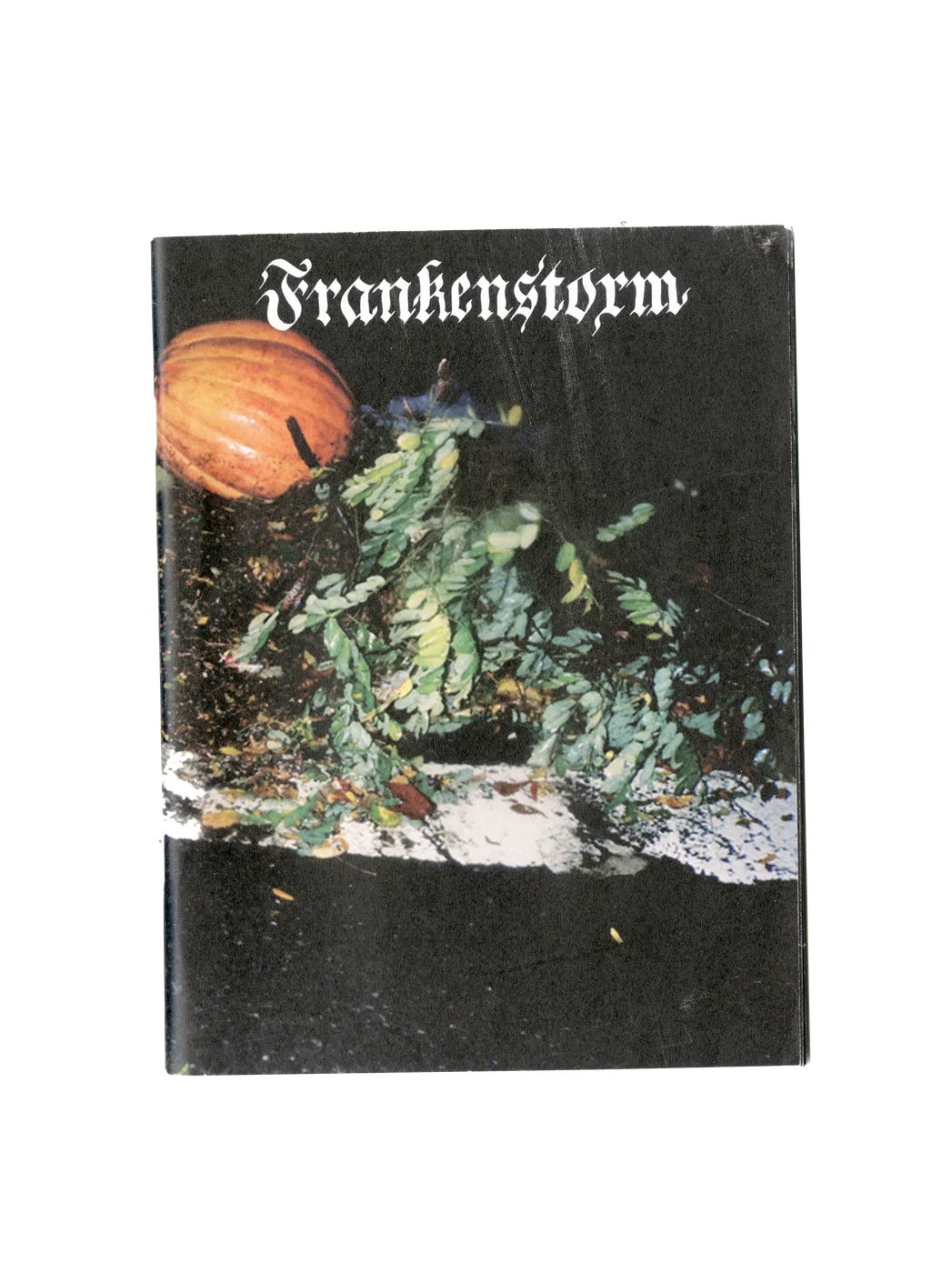 Frankenstorm zine cover