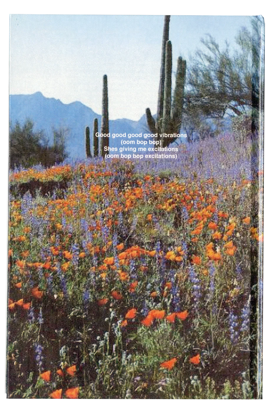 Good Vibrations book - back cover, studio product image 6