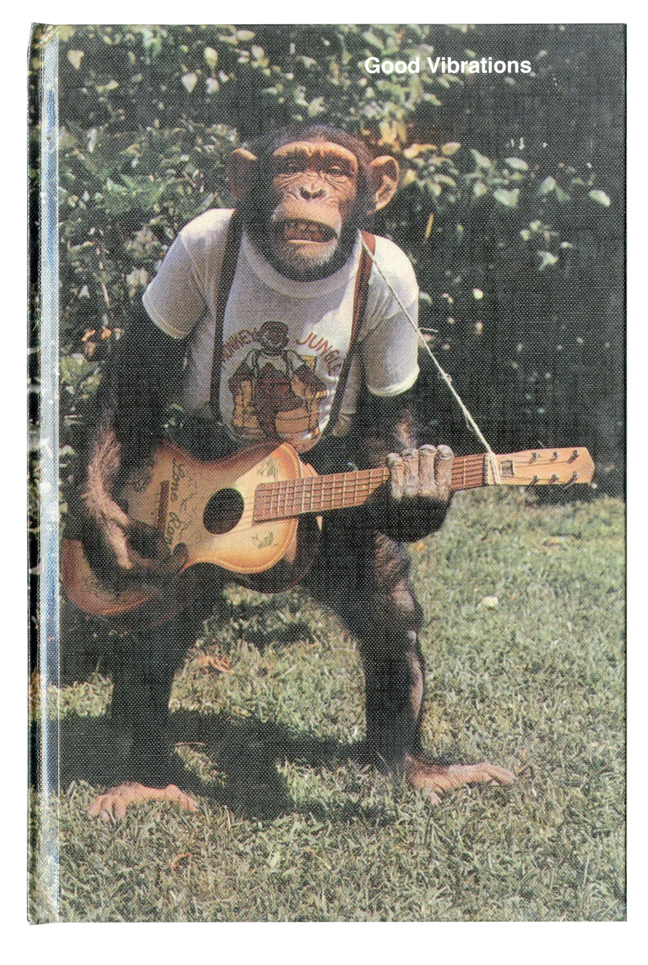 Good Vibrations book cover