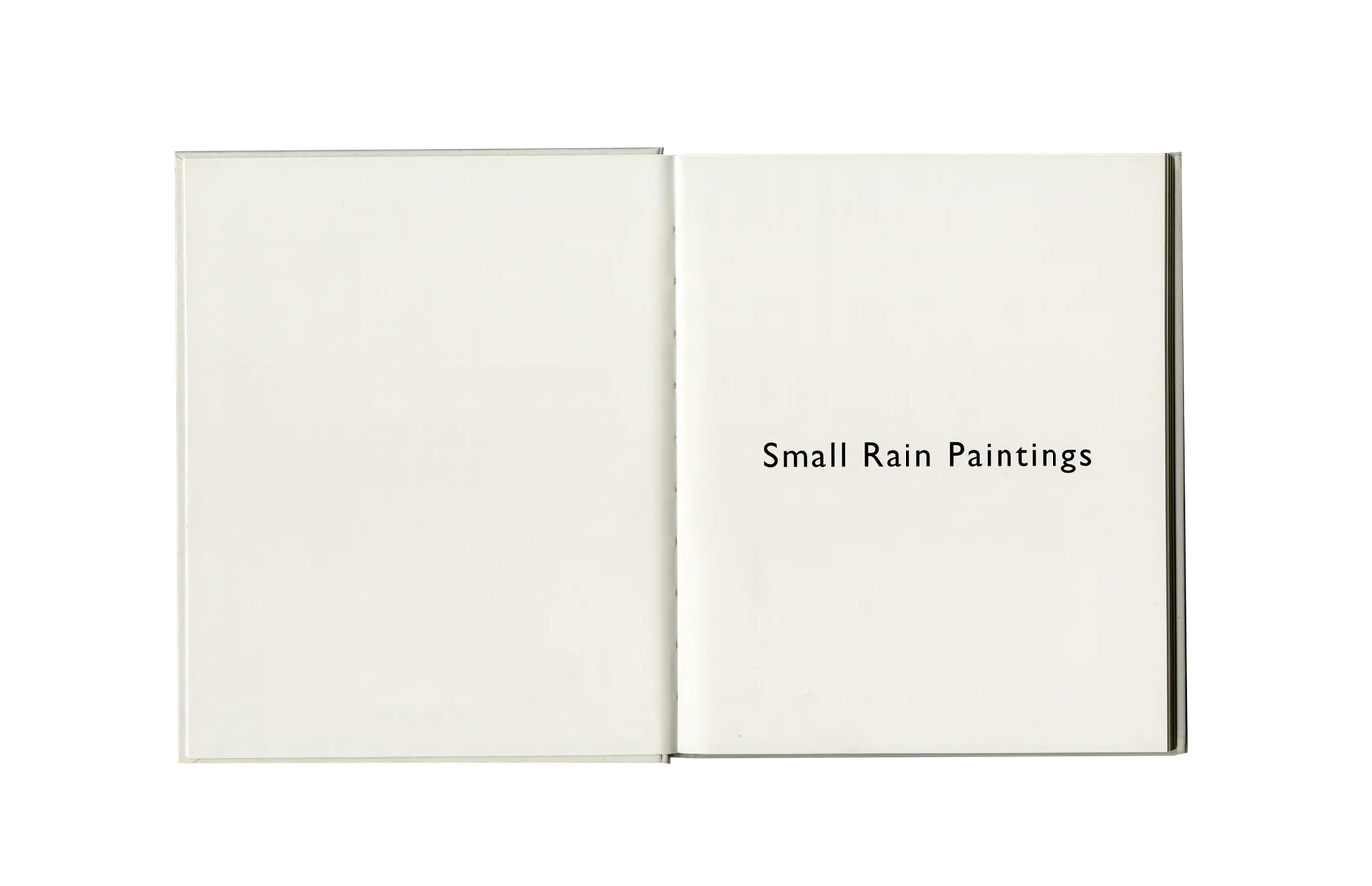 Small Rain Paintings catalogue - interior spread, studio product image 2
